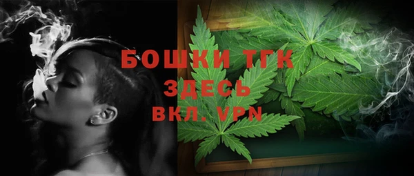 mdpv Богородицк