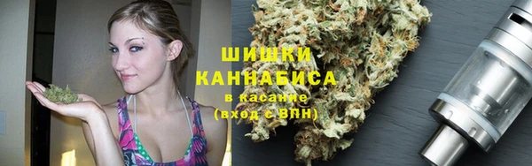сатива Беломорск