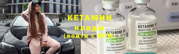 сатива Беломорск
