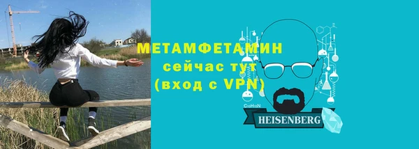 сатива Беломорск