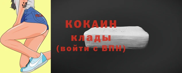 крисы Белокуриха