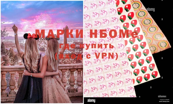 сатива Беломорск