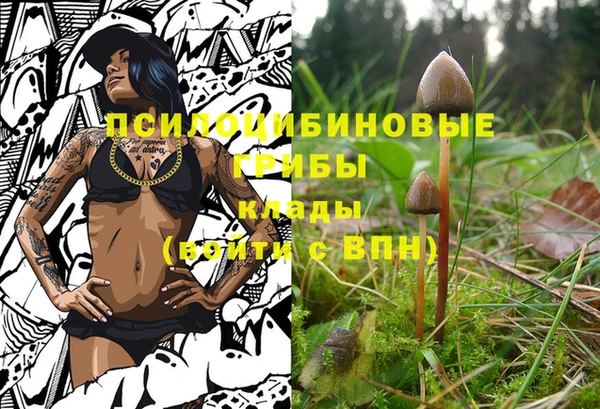 сатива Беломорск