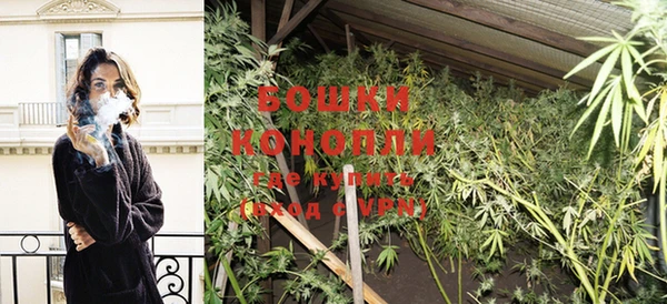 винт Богданович