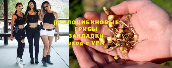 крисы Белокуриха