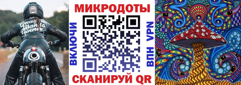 Купить где  Костомукша  Псилоцибиновые грибы MAGIC MUSHROOMS 