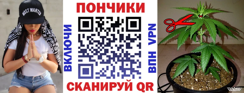 Бошки Шишки LSD WEED  Купить закладки  Костомукша 